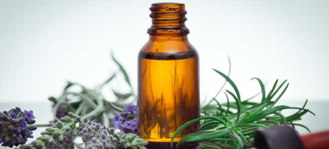 как сделать масло из розмарина