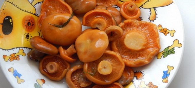 как засолить рыжики горячим способом на зиму