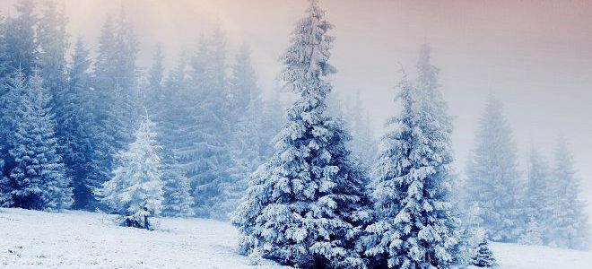 когда празднуют татьянин день