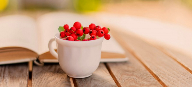 кора рябины лечебные свойства