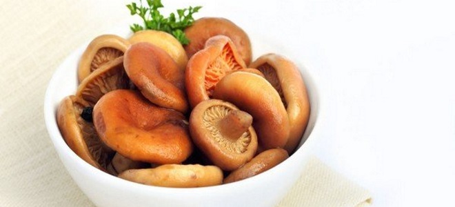 квашеные рыжики на зиму