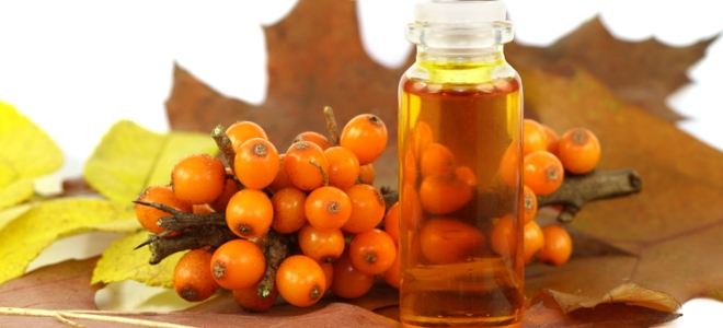 Масло облепихи от геморроя