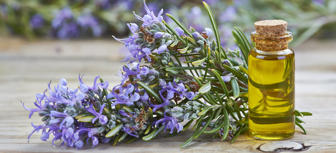 масло розмарина