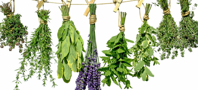 мочегонные травы