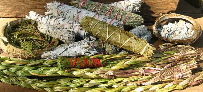 мочегонные травы