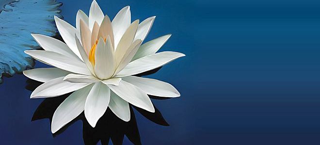 нирвана что это