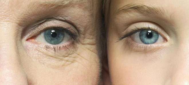 от чего зависит продолжительность жизни человека