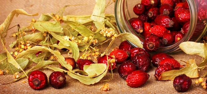 отвар шиповника как приготовить1