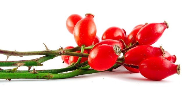 отвар шиповника как приготовить3