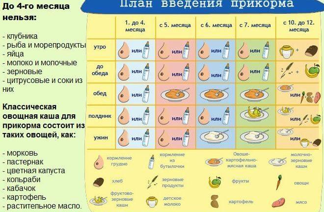 Правила введения прикорма