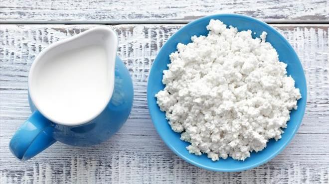 Разница между творогом, йогуртом и скиром