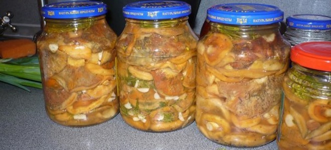 салат на зиму из рыжиков и овощей