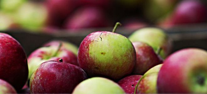 собирать яблоки во сне