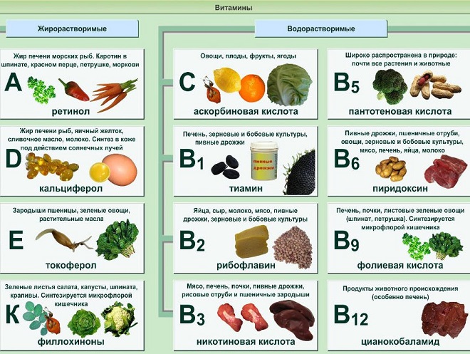 витамины в продуктах