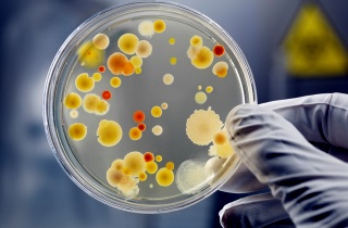 Возникновение пансинусита провоцируется инфекционными возбудителями Причины пансинусита