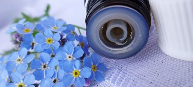 эфирное масло нероли для волос