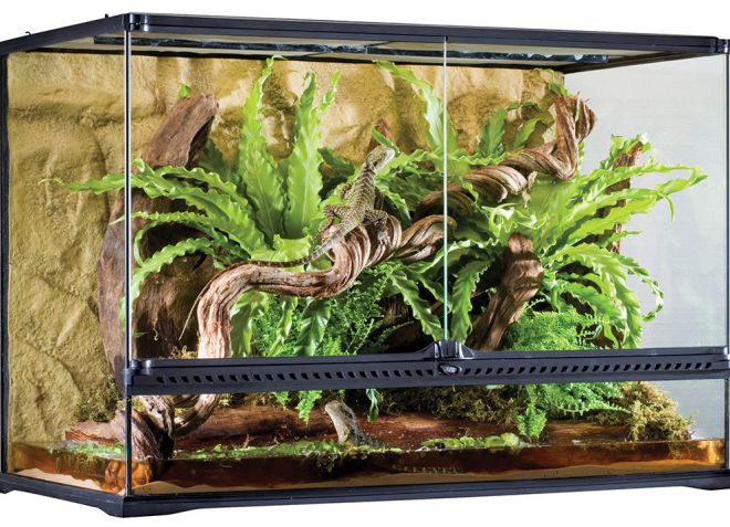 горизонтальный террариум горизонтальный террариум