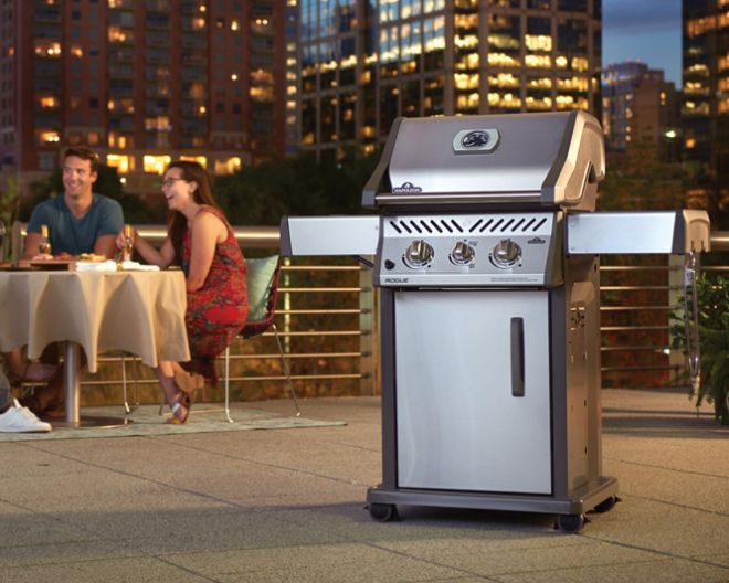 Napoleon Rogue Napoleon Rogue