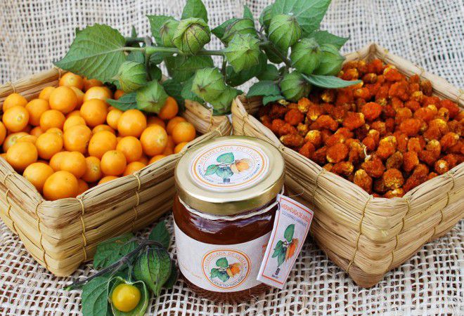 физалис в пищу физалис в пищу