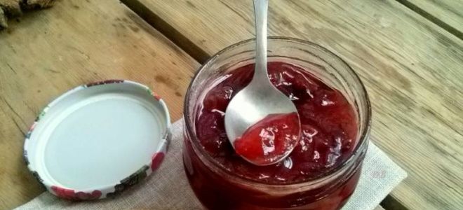 пюре из сливы на зиму пюре из сливы на зиму
