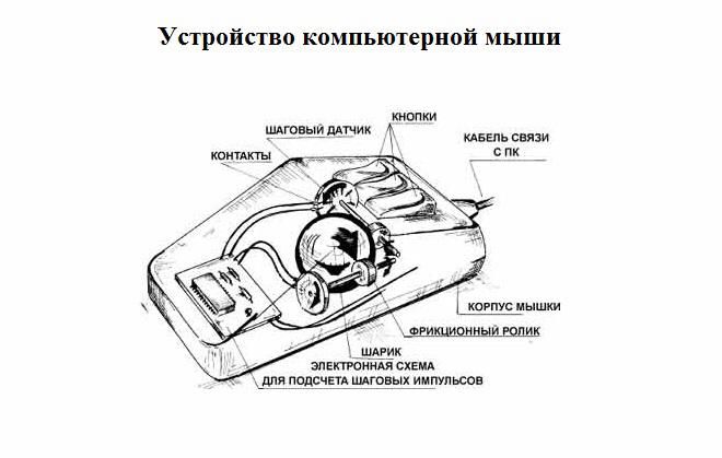 iz chego sostoit kompyuternaya iz chego sostoit kompyuternaya