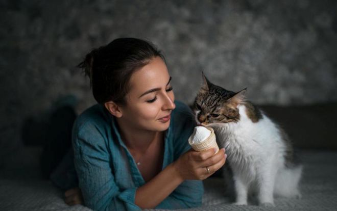 Какой объектив выбрать для фото дома Какой объектив выбрать для фото дома