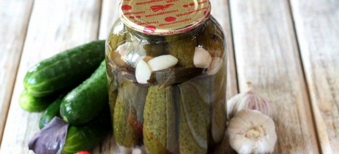 сладкие огурцы с базиликом на зиму сладкие огурцы с базиликом на зиму