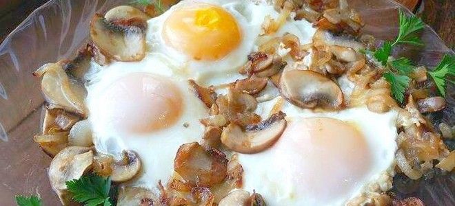 яичница с грибами шампиньонами и луком яичница с грибами шампиньонами и луком
