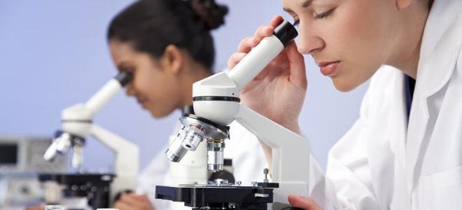 Анализ мочи лейкоциты норма Анализ мочи лейкоциты норма