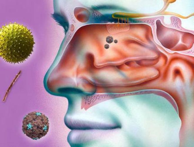 фото1 бывает ли насморк при коронавирусе