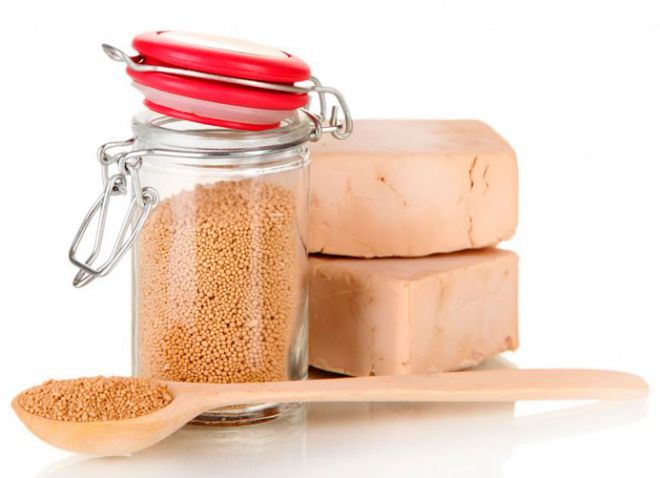 дрожжи для растений как удобрение дрожжи для растений как удобрение