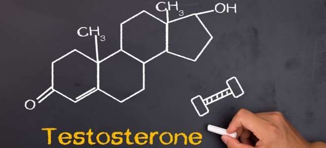 есть ли тестостерон у женщин есть ли тестостерон у женщин