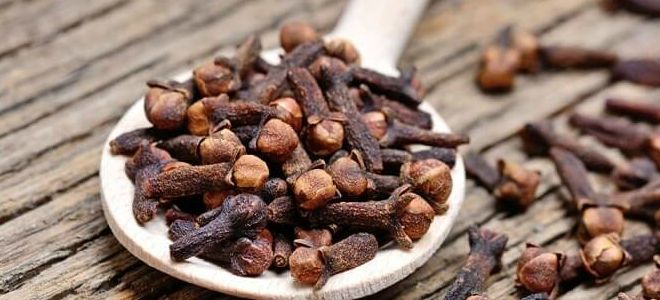 гвоздика лечебные свойства и противопоказания гвоздика лечебные свойства и противопоказания