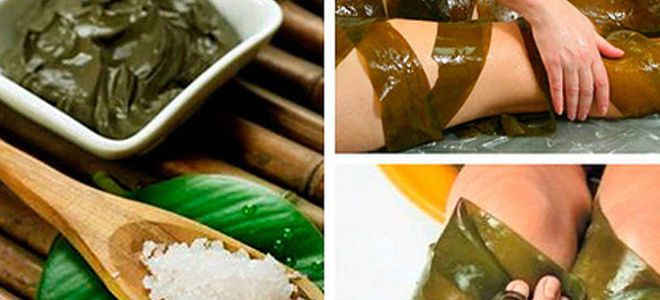какие водоросли подходят для обертывания какие водоросли подходят для обертывания