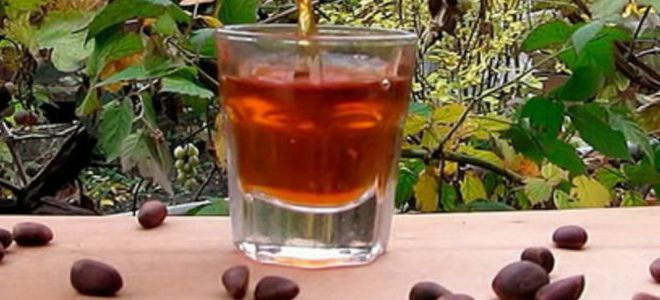 кедровая настойка польза и вред кедровая настойка польза и вред