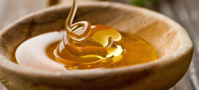 можно ли мед во время беременности можно ли мед во время беременности