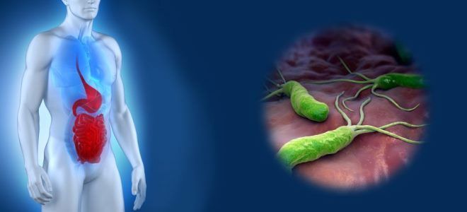 нольпаза показания к применению нольпаза показания к применению