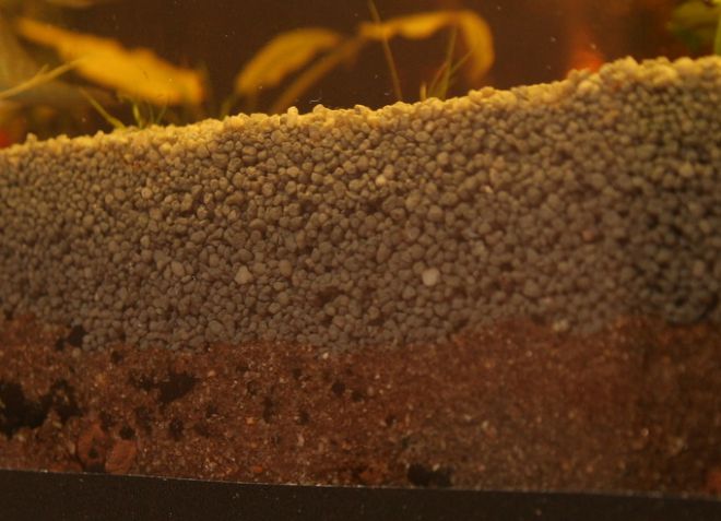 нужен ли питательный грунт в аквариуме нужен ли питательный грунт в аквариуме