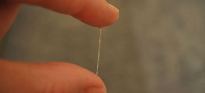 овуляторные выделения овуляторные выделения