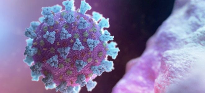 пцр на коронавирус пцр на коронавирус