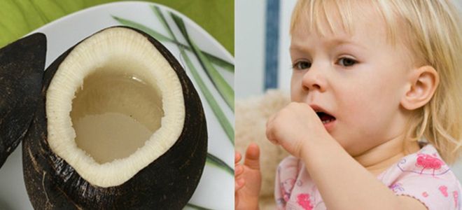 редька с медом польза детям редька с медом польза детям