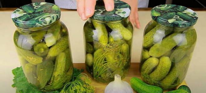 сладкие хрустящие огурцы на зиму в банках сладкие хрустящие огурцы на зиму в банках