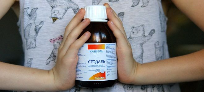 состав сиропа от кашля стодаль состав сиропа от кашля стодаль