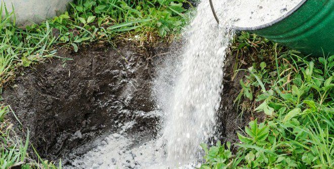 Состав золы как удобрения Состав золы как удобрения