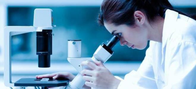 спермограмма астенозооспермия спермограмма астенозооспермия