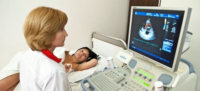 УЗИ сердца подготовка УЗИ сердца подготовка