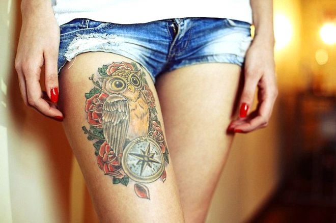 сова на ноге цветная сова на ноге цветная