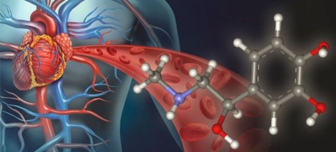 адреналин что это адреналин что это