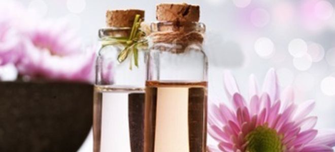 ароматерапия эфирные масла ароматерапия эфирные масла