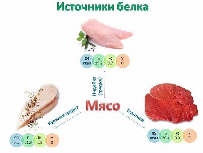 белок в мясе белок в мясе